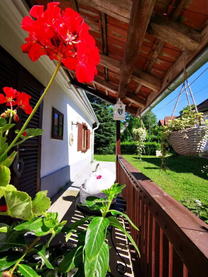 Gasthaus Orseg Kincse Hegyhátszentjakab Exterior foto